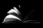 Obraz tookapic z Pixabay Obraz tookapic z Pixabay