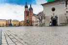 Fot. Konrad Krajewski z Pixabay Fot. Konrad Krajewski z Pixabay