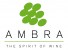 AMBRA Spółka Akcyjna